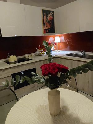Need to rent a Riva Park 504 Nguyễn Tất Thành apartment