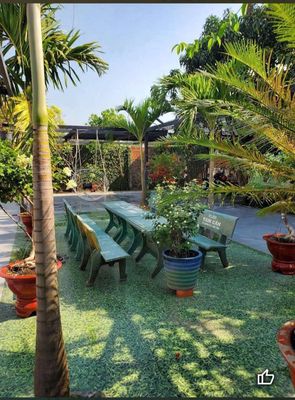 Home yard, town, near town