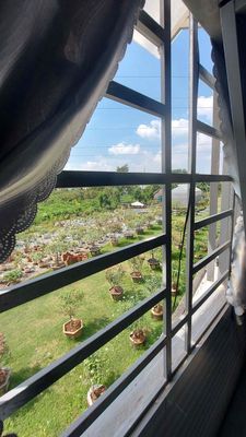 Air-cleaner-view pink garden machine