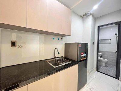 kitchen apartment 1 bedroom - full interior - large light window