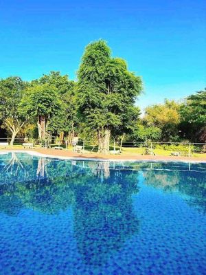 Rent the Dream Home Gò Vấp, 64 m2, 2 bedrooms, 2 toilets, with interior near ful