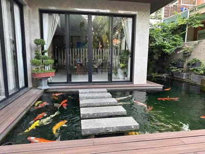 Rentment, Funky Funky, 16 x 16 house 3 story house, 130 million