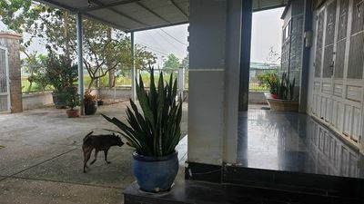 the owner of the home which rents the .306 mm2 warehouse at Củ Chi