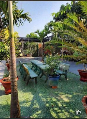 For renting villa 500 M for 12 million