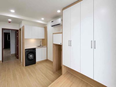 Rent an apartment close to an open university near the University of tdtu pvgas