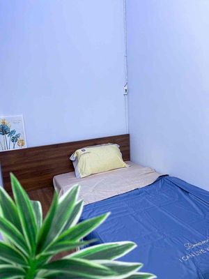 Two bedrooms. One big balcony toilet. Four Tull interior cars near the University of Science