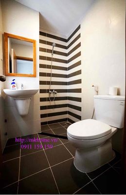 apartment near sb tsn - Bạch Đằng, clean, special, cool bid