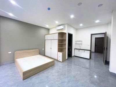 Rent the Cat Room, full interior