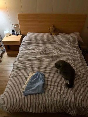 Rent a super-beautiful mini studio room. A couple of people.
