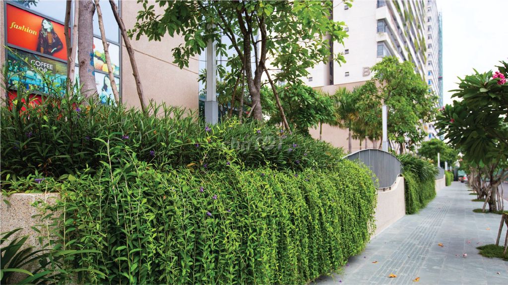Diamond Lotus Riverside_apport Y_91 m2_3 bedroom_view District 1 good price