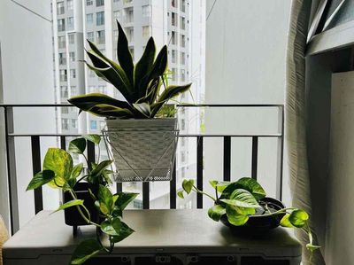 Rent 60 meters 2 (2 bathrooms) 7.5 million air conditioning, bed, refrigerator, washing machine