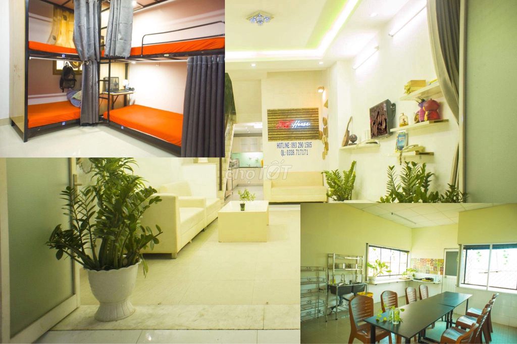 The University of Medicine, the Royal City of Tai Chi, the office of students.