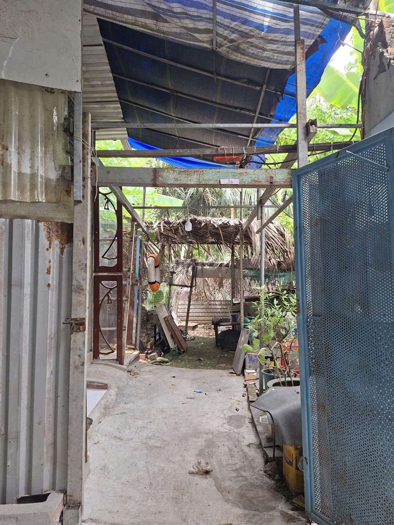 Cao Lỗ Rent