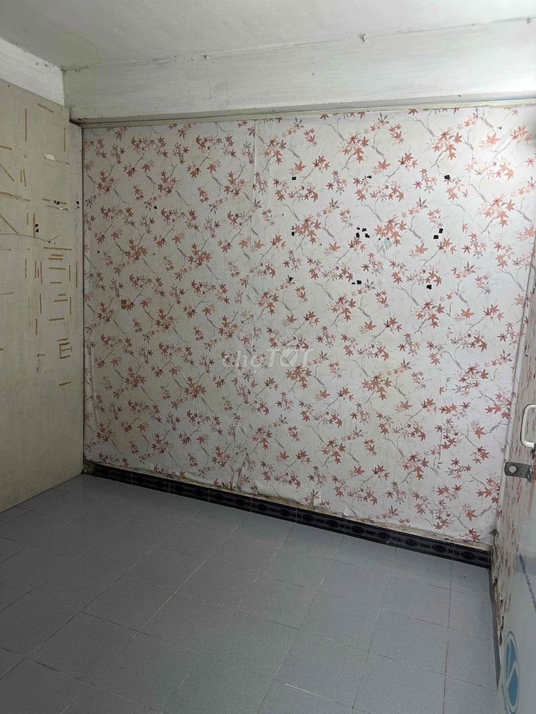 ground room (down) 12 meters cast house