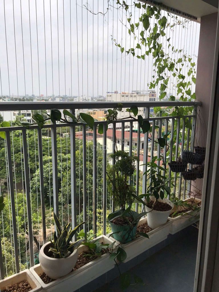 The apartment is 120 meters, three bedrooms, three toilets, nice interior, very cheap at the green end.