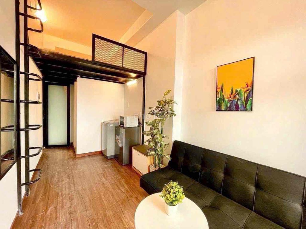His apartment, the opossum, the Tân Phú balconies.
