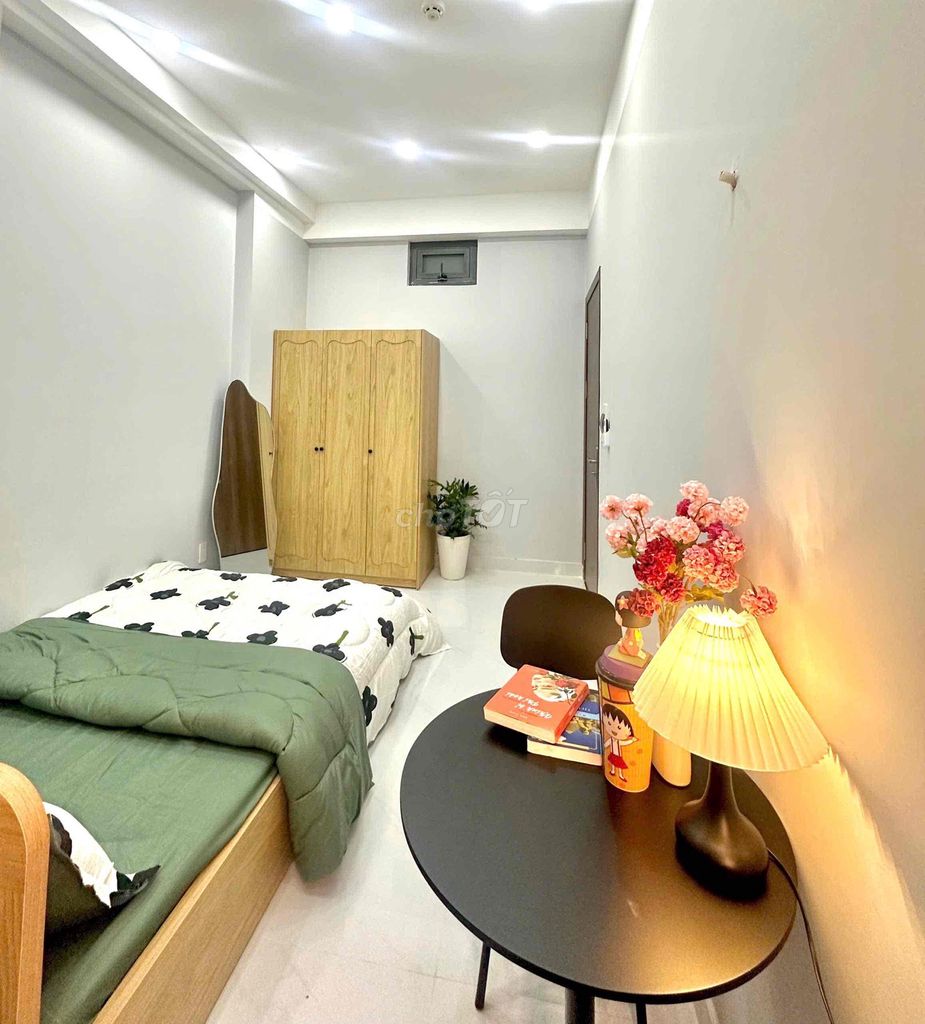 The studio close to the university of economics, the University of Science
