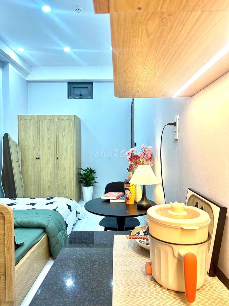 The studio close to the university of economics, the University of Science
