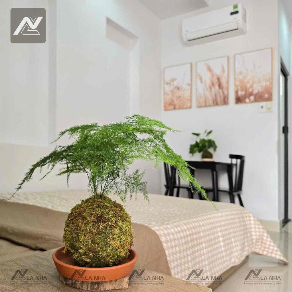 A super open balcony bedroom, Tân Sơn Nhì private washing machine.