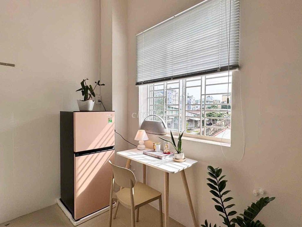 Rent tone white cream beautiful right into the middle of the day, hahh,ou...