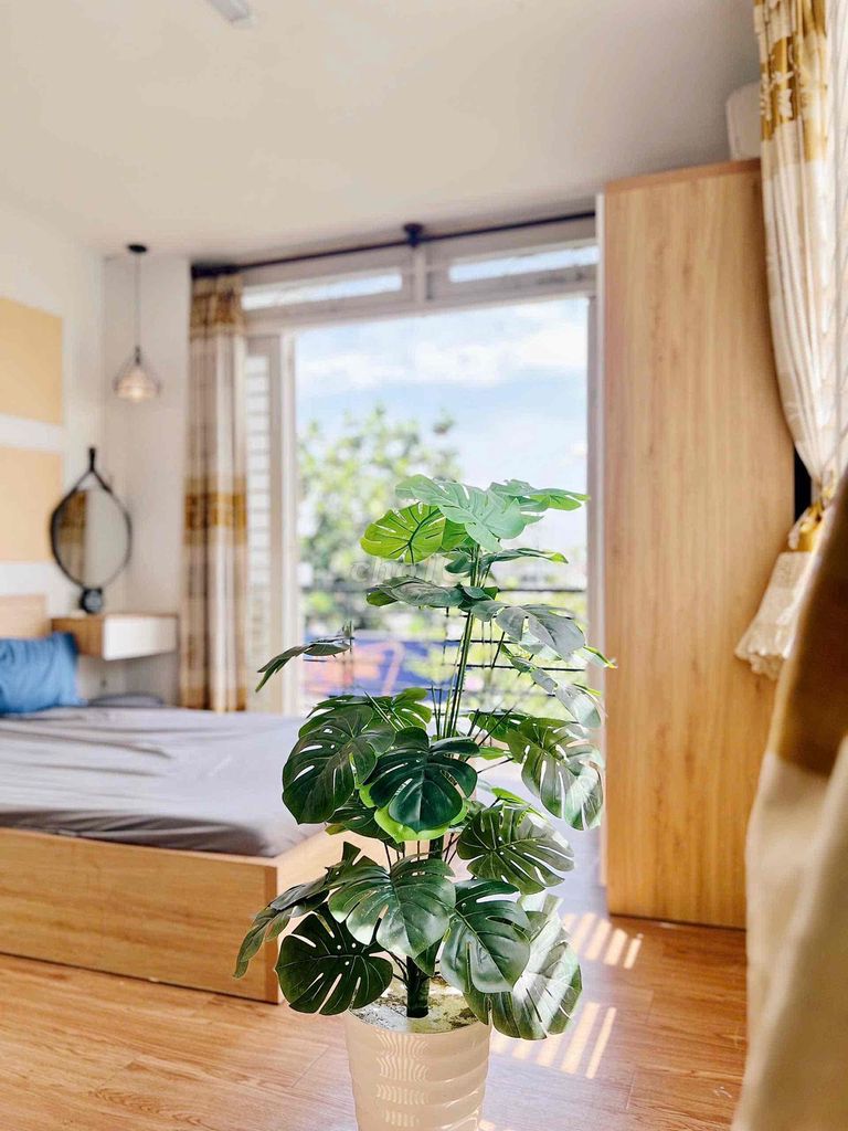 It's the owner of the studio that rents the studio 30 meters - Nơ Trang Long - close to the academic university, umf