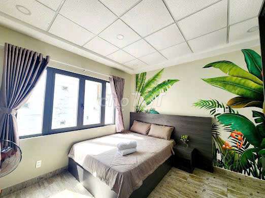 Rent a large window house in District 1.