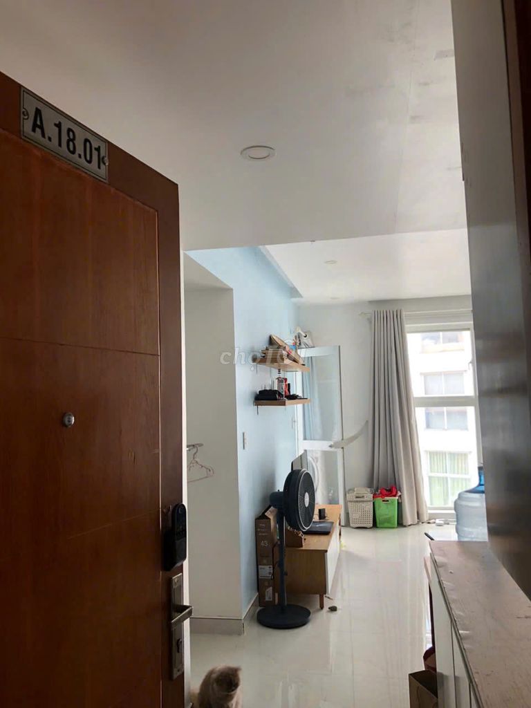 Thảo Điền view L81 fireworks 2 bedroom 15 million modern interiors