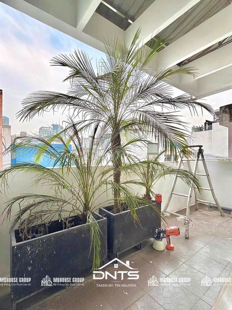 New project 100% Đinh Tiên Hoàng near the bridge, cell tower, hmc tower district 1