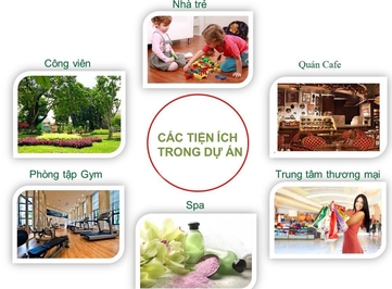 Rent Chung cư Mỹ Kim apartment.