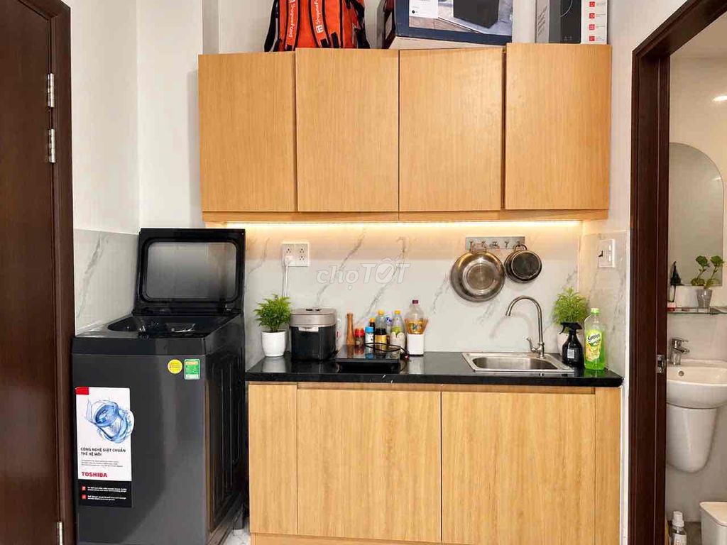 The apartment is cheap near the green line.