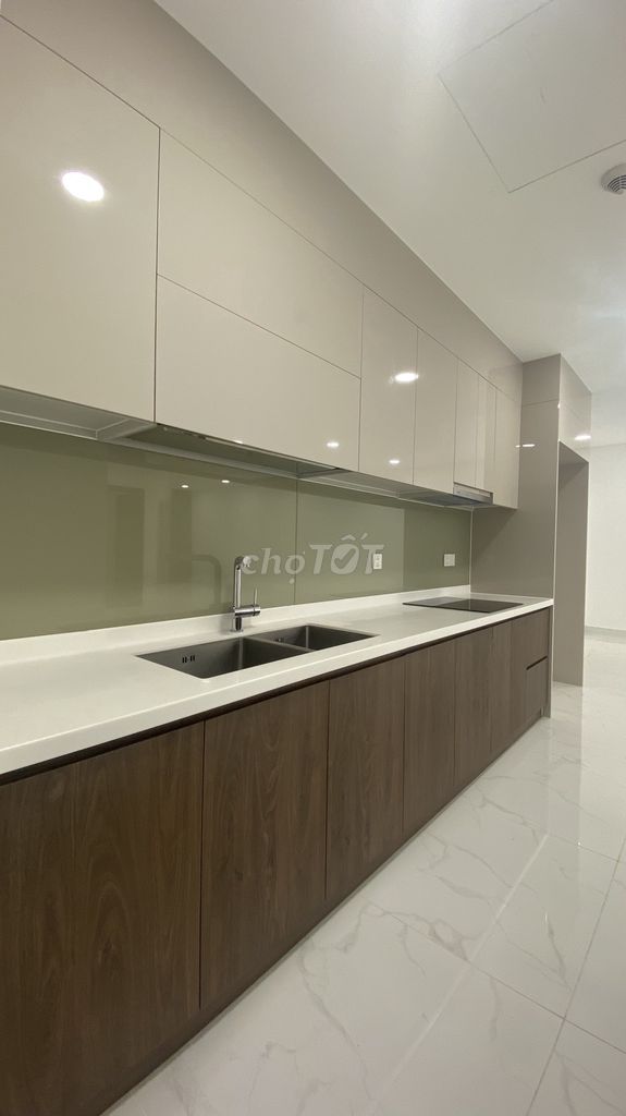 Rent for senior apartments,alnata,emeraldo of Tân Phú.