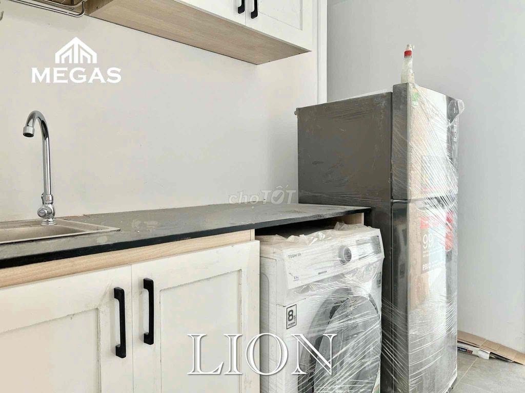 Rent the kitchen apartment in the lake of the third-year turtle.