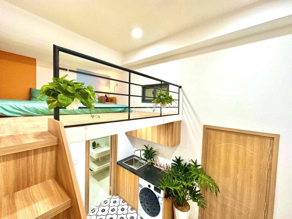 renting apartment full interior