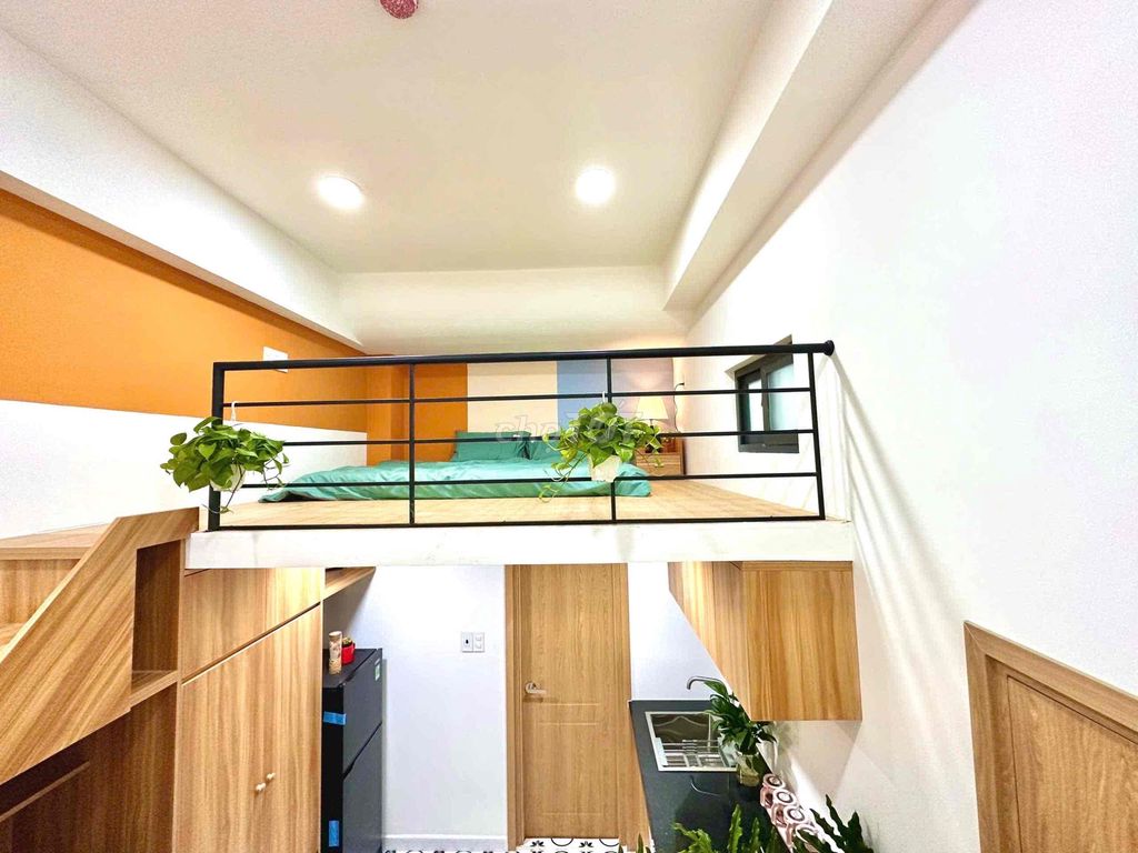 renting apartment full interior