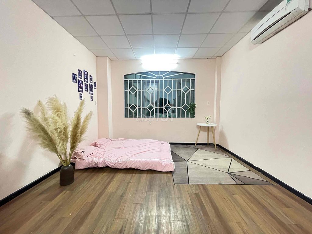 The 35 M2 studio is cheap near the University of Love