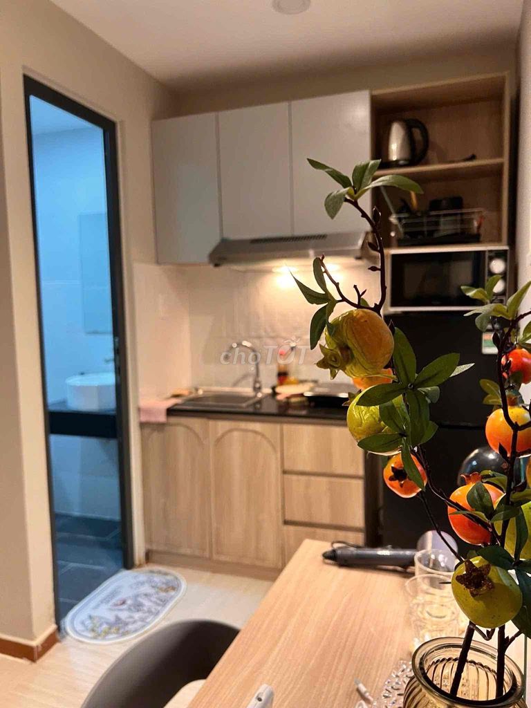 apartment full interior - Lê Đức Thọ, Gò Vấp