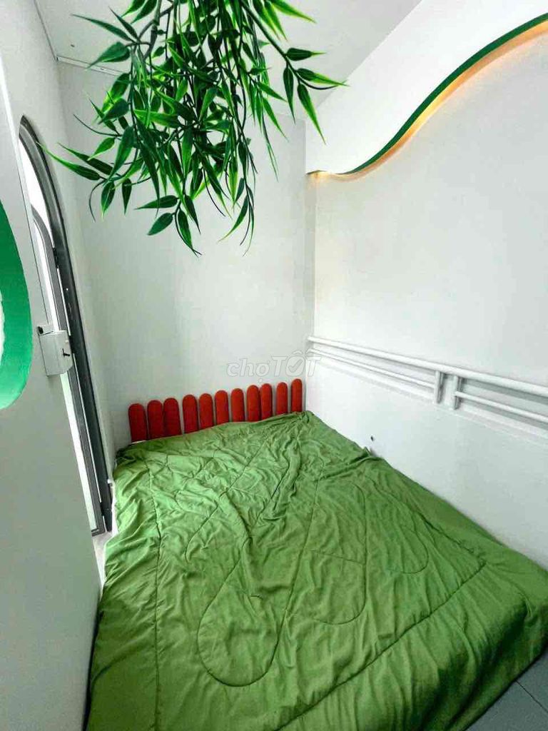 Rent the two bedroom service room - Cách Mạng Tháng Tám, Tân Bình