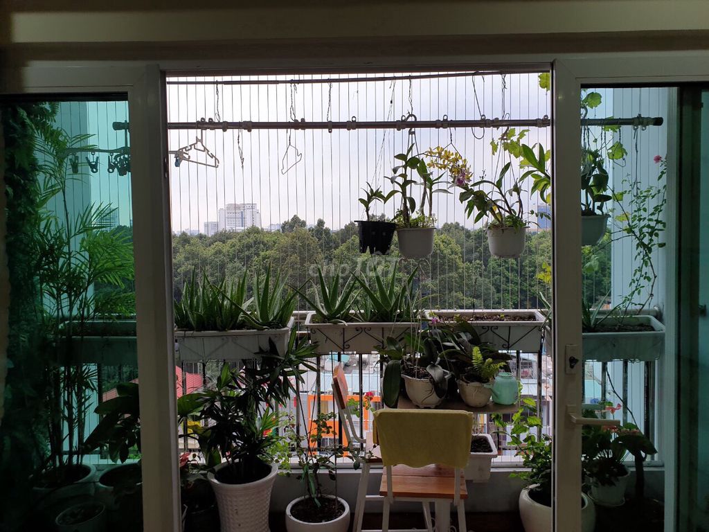 Cao ốc Phú Nhuận, 2 bedrooms=14.5 million bedrooms=20 million inland