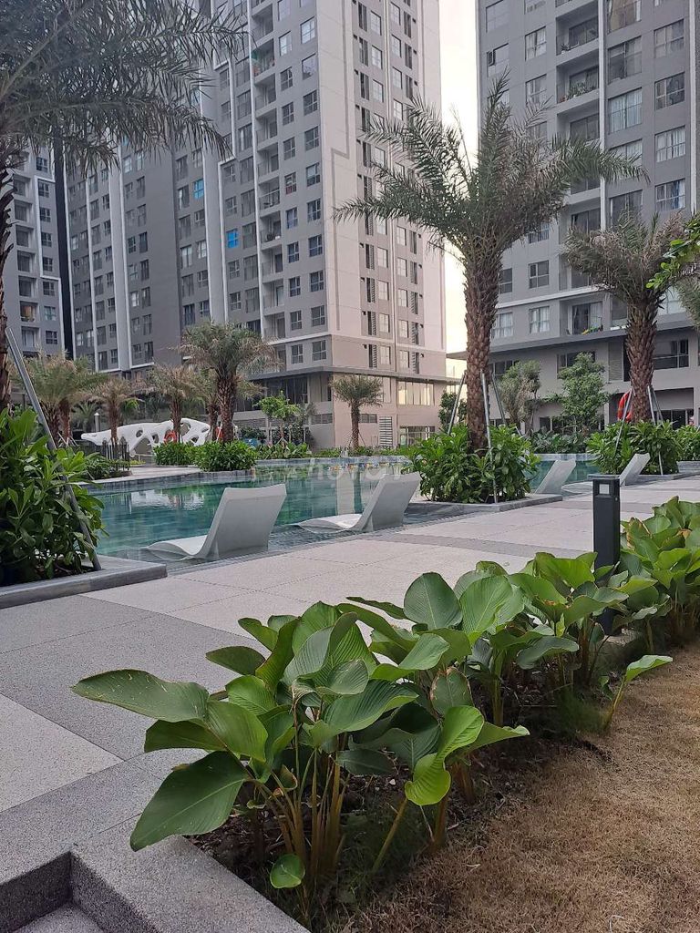 Rent the fast view apartment.