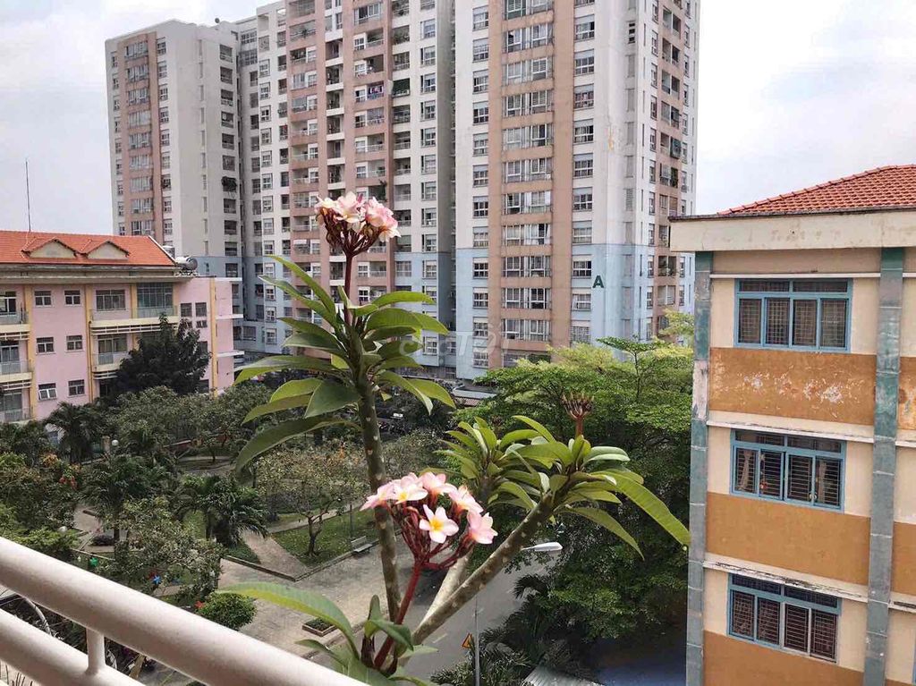 3 bedrooms 10.5 million in Tân Bình. The owner needs to rent the apartment quickly.