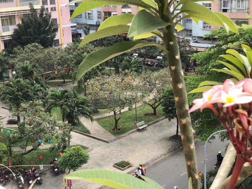 3 bedrooms 10.5 million in Tân Bình. The owner needs to rent the apartment quickly.