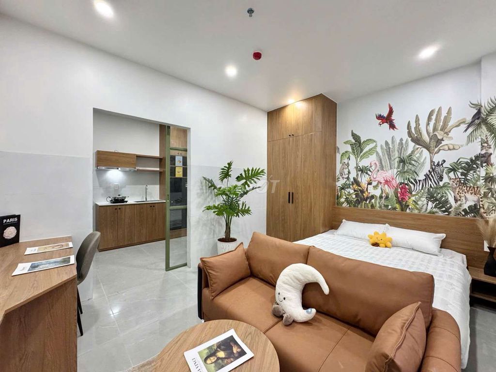 The studio. A kitchen bedroom with a big, big balconies for pet pet pet.