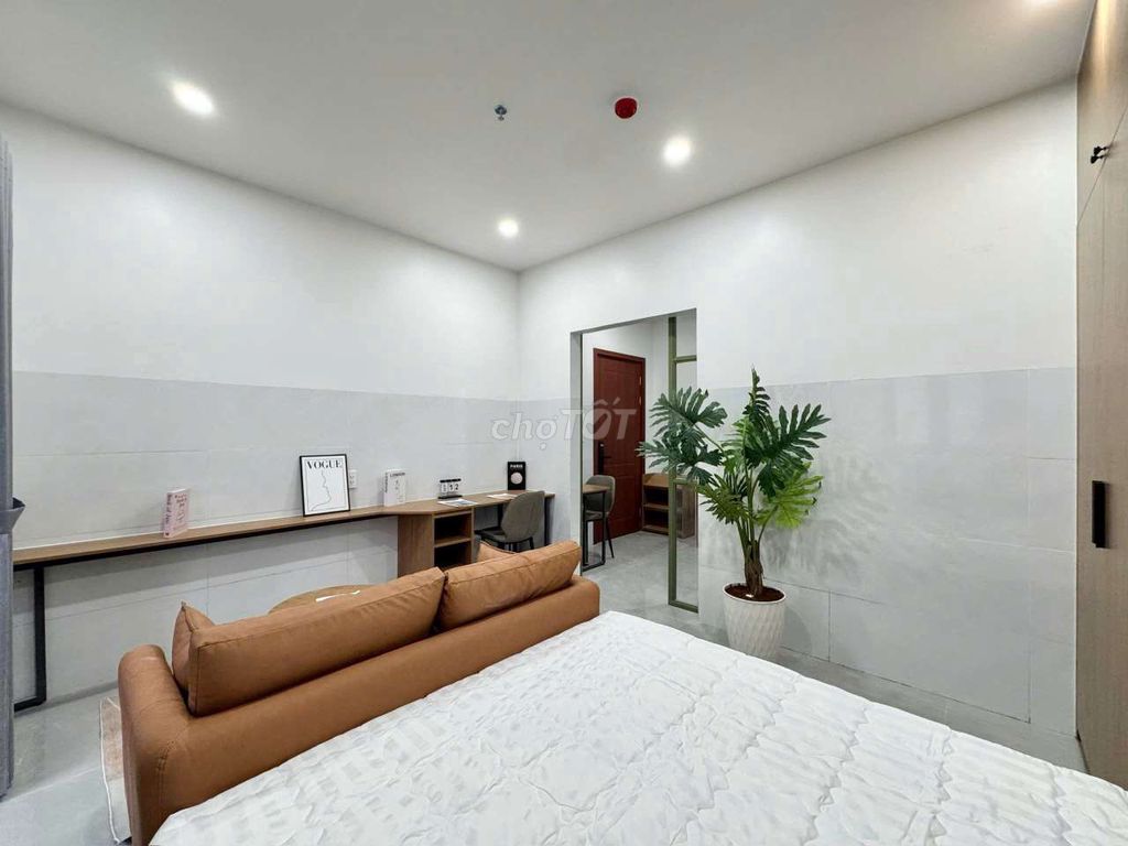 The studio. A kitchen bedroom with a big, big balconies for pet pet pet.