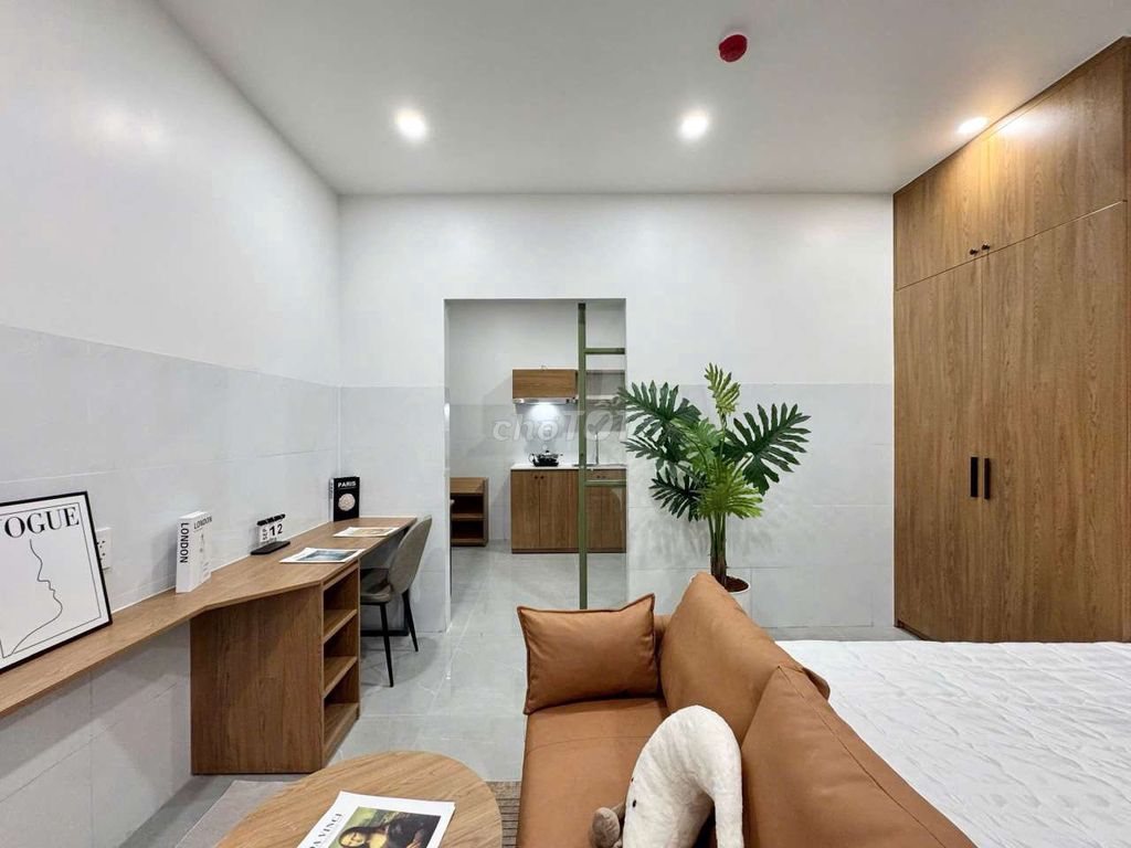 The studio. A kitchen bedroom with a big, big balconies for pet pet pet.