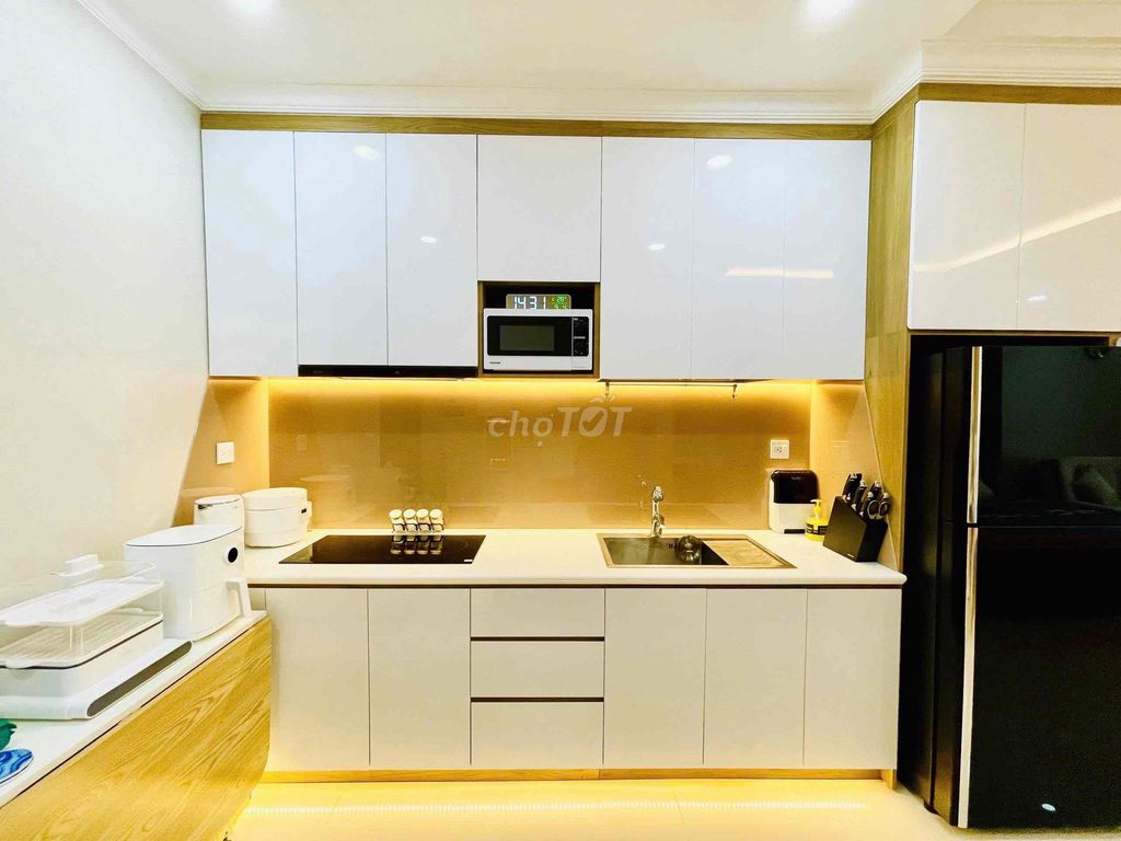 Renting Officetel Sunrise CityView District 7h: