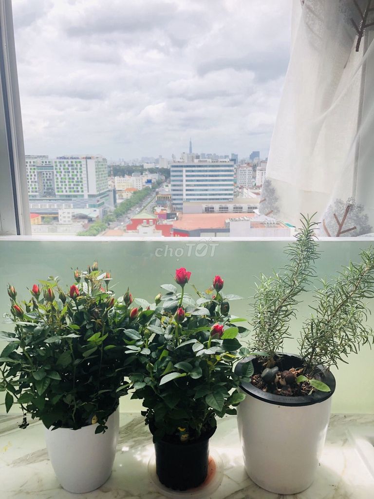 Level of living space at Cộng Hòa Plaza – 170 M2 (4) bedrooms, 3 toilets) - 18 million