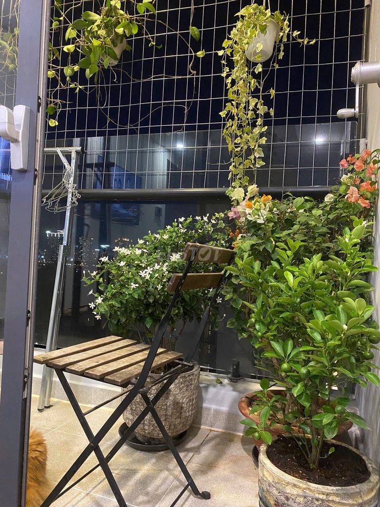 New city ENN 2 bedrooms TERNING ENGUE Open Green Trees , 17 million rent