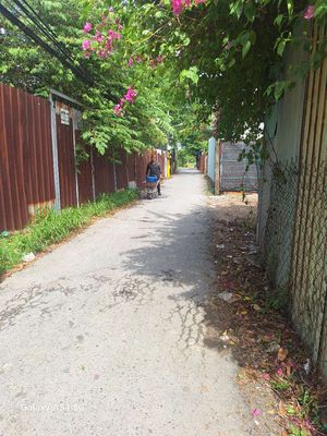 It's not the same area owner using 16 M2 separate toilet kitchens. Free time.