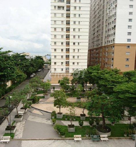 Hot! C/C/702 feet of square-by-clock green space near the 5th District Market