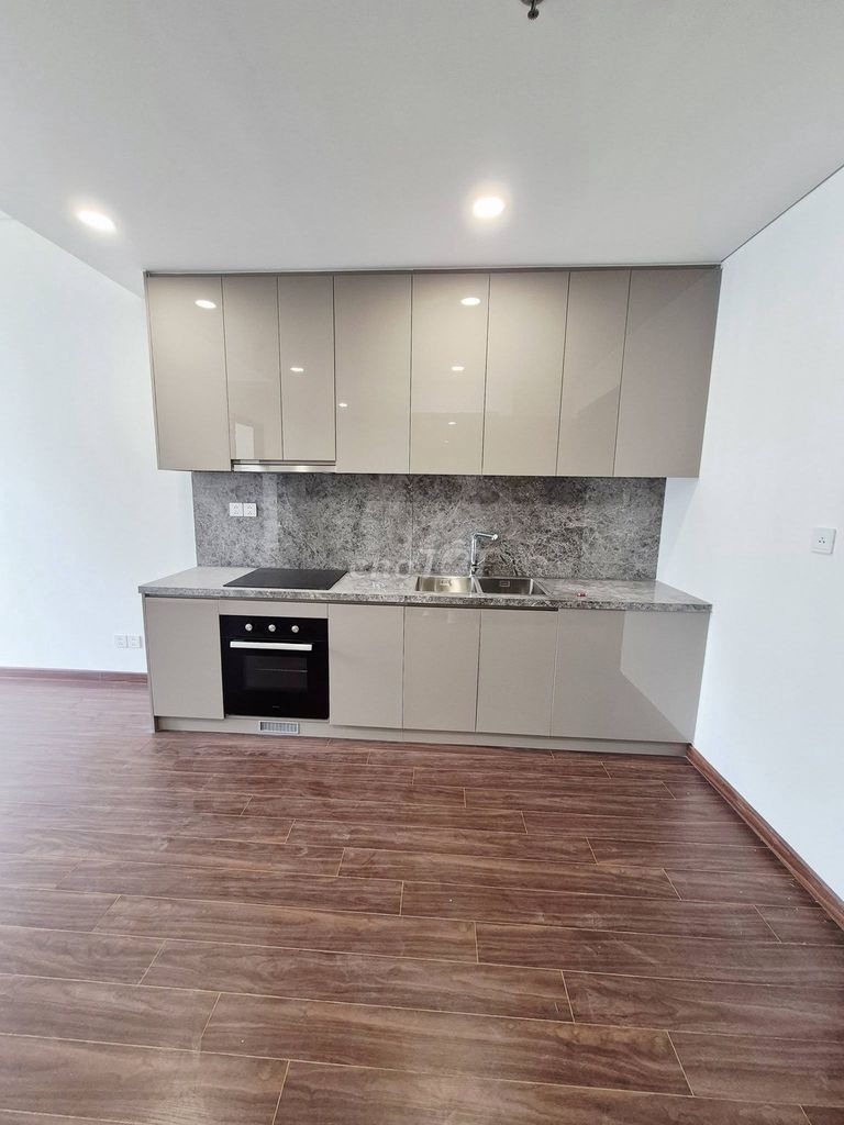 Rent apartment 1 N+ Masterise H1, middle floor, 8 million
